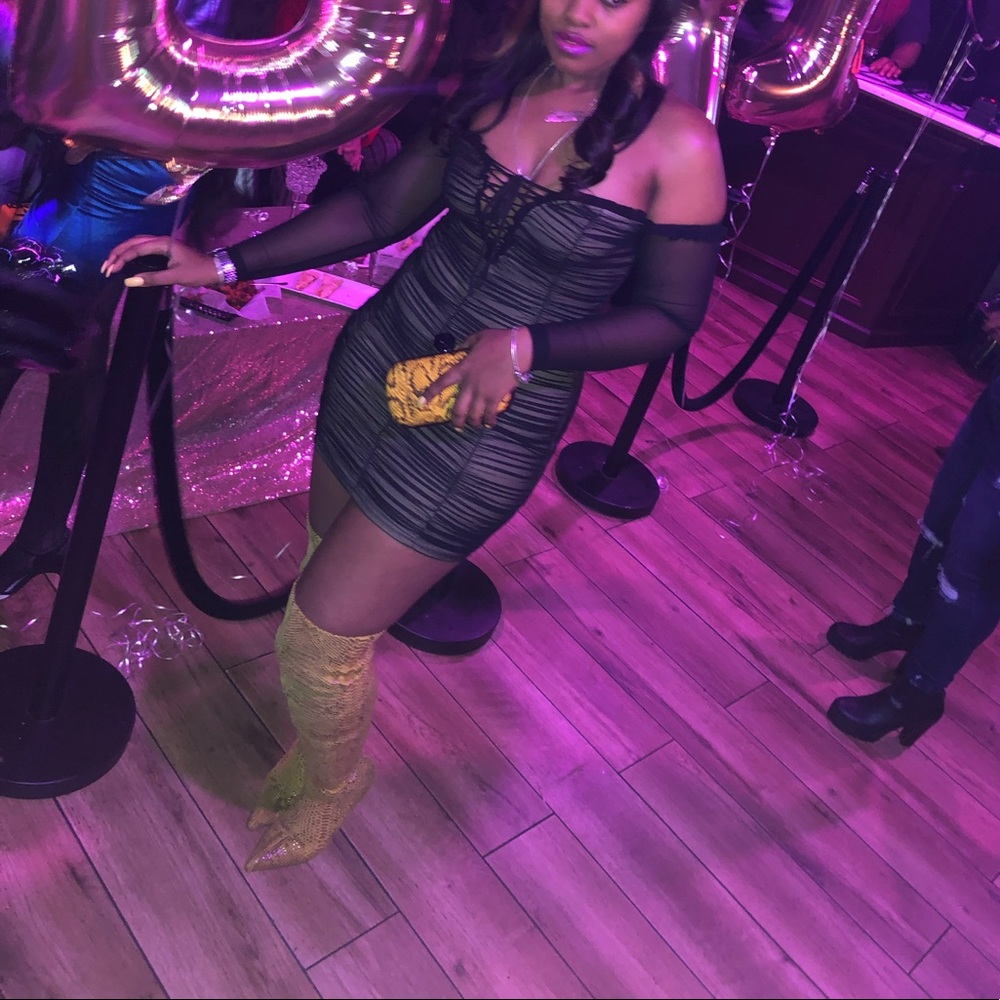 Fashion Nova Mesh dress